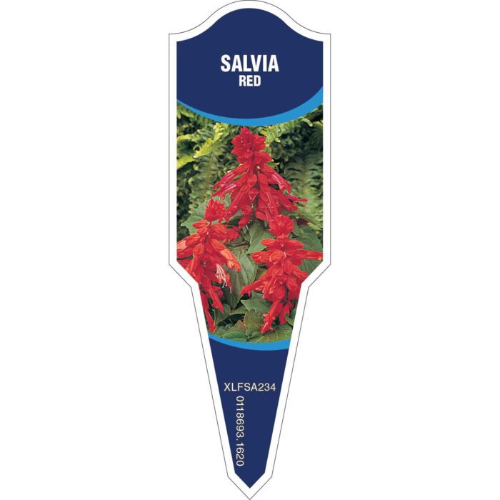 Label_XLFSA234.Jpg