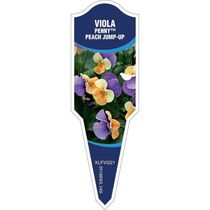 Label_XLFVI221.Jpg
