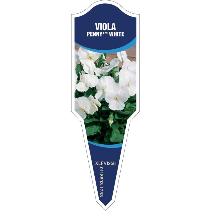 Label_XLFVI258.Jpg
