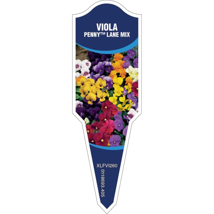 Label_XLFVI260.Jpg