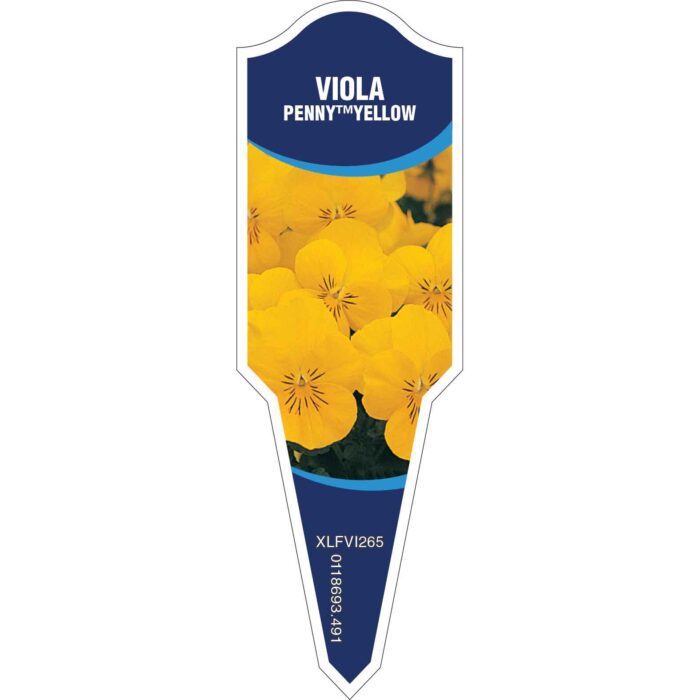 Label_XLFVI265.Jpg