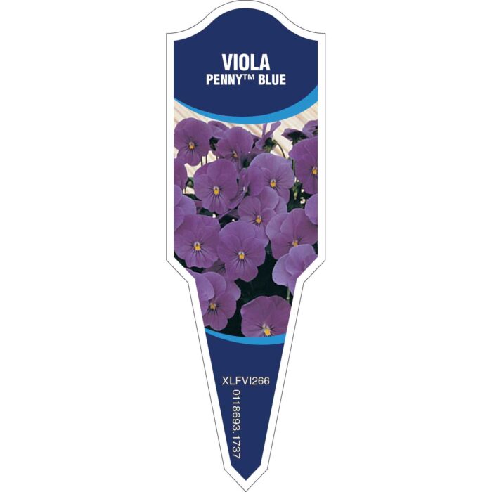 Label_XLFVI266.Jpg