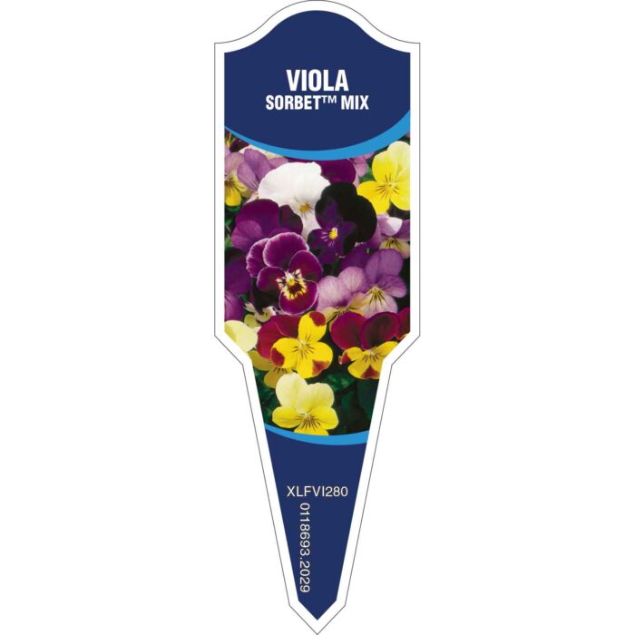 Label_XLFVI280.Jpg