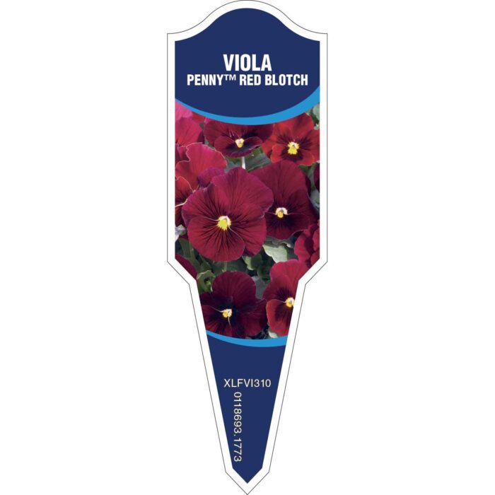Label_XLFVI310.Jpg