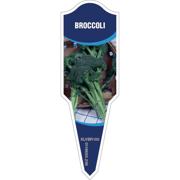 Label_XLVBR100.Jpg