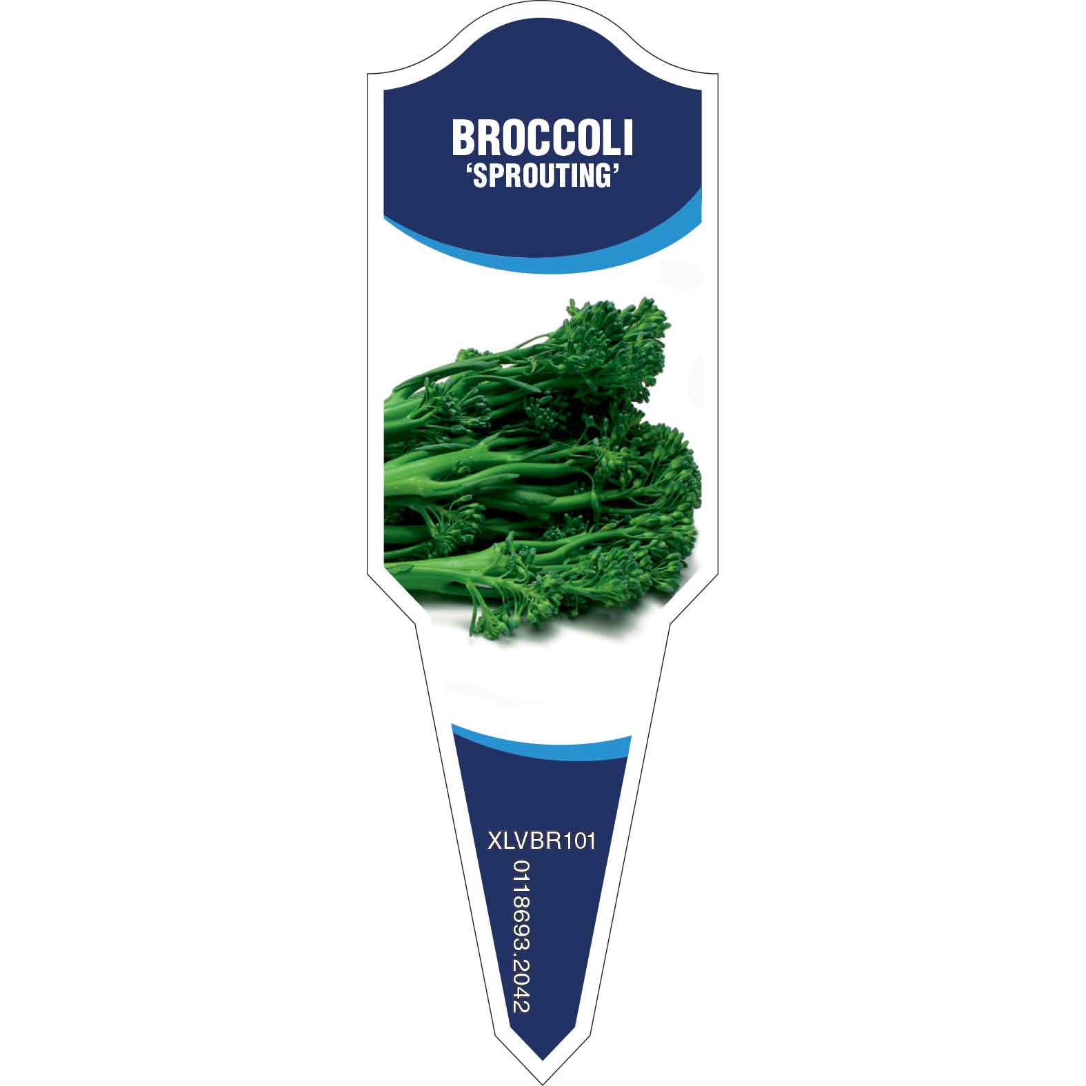 BROCCOLI Sprouting Egmont Commercial