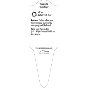 Label_XLVBR170.B.Jpg