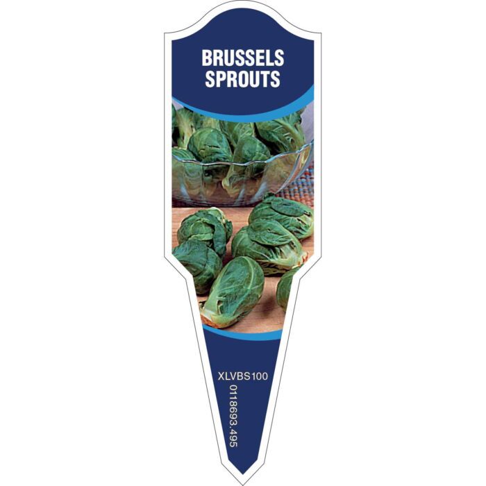 Label_XLVBS100.Jpg