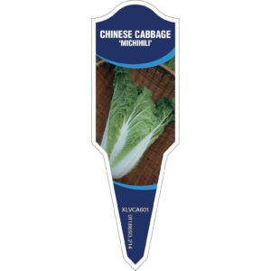 CHINESE CABBAGE Michihili