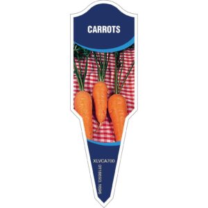 CARROTS