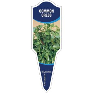 COMMON CRESS