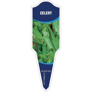 CELERY General Care
