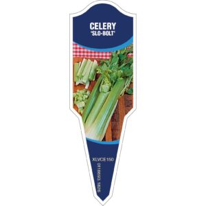 CELERY Slow Bolt
