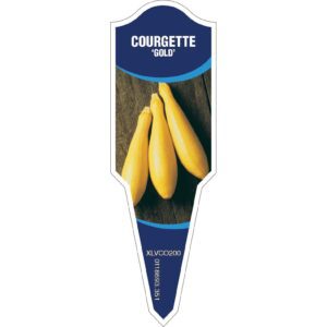 COURGETTE Gold