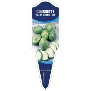 COURGETTE Patty Green Tint