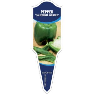 CAPSICUM California Wonder