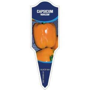 CAPSICUM Horizon (Orange)