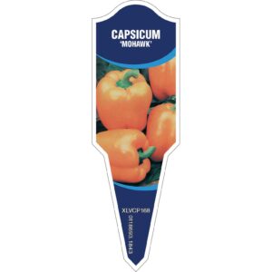CAPSICUM Mohawk