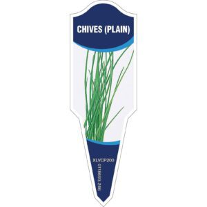 CHIVES Plain