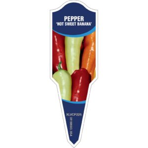 CAPSICUM Hot Sweet Bananas