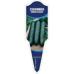 CUCUMBER Green Slicer