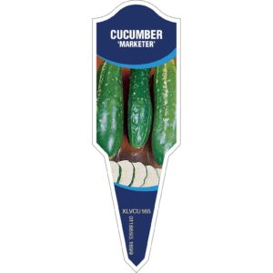 CUCUMBER Marketer