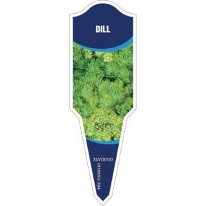DILL