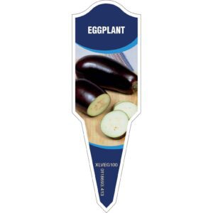 EGGPLANT