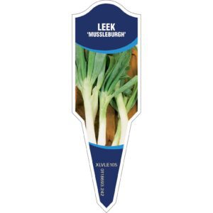 LEEK Musselburgh