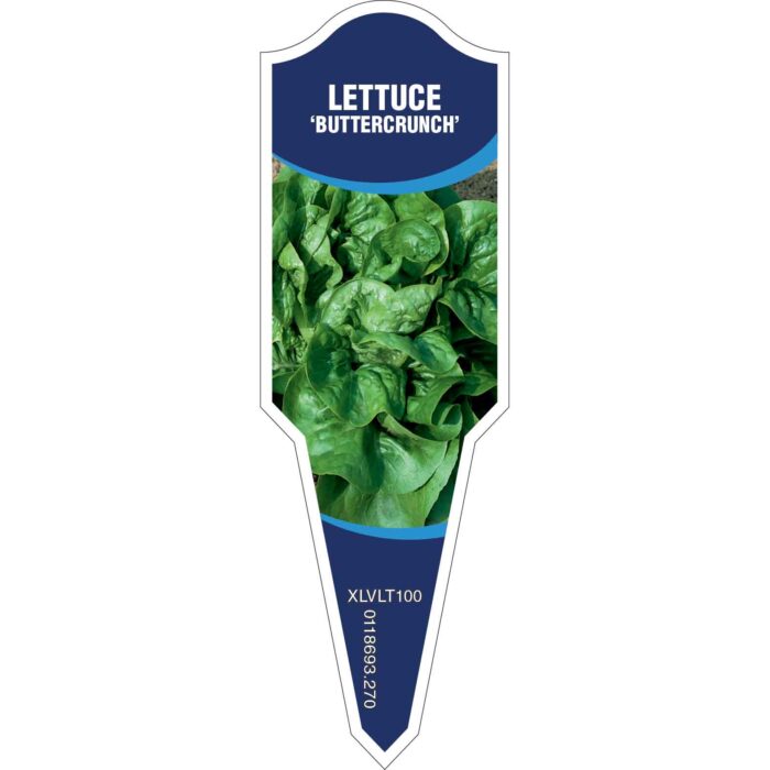 Label_XLVLT100.Jpg