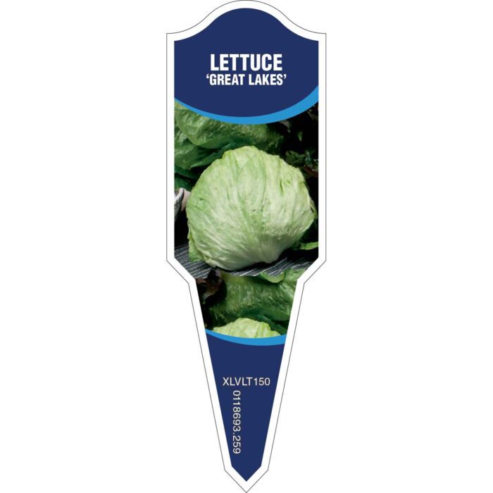 Label_XLVLT150.Jpg