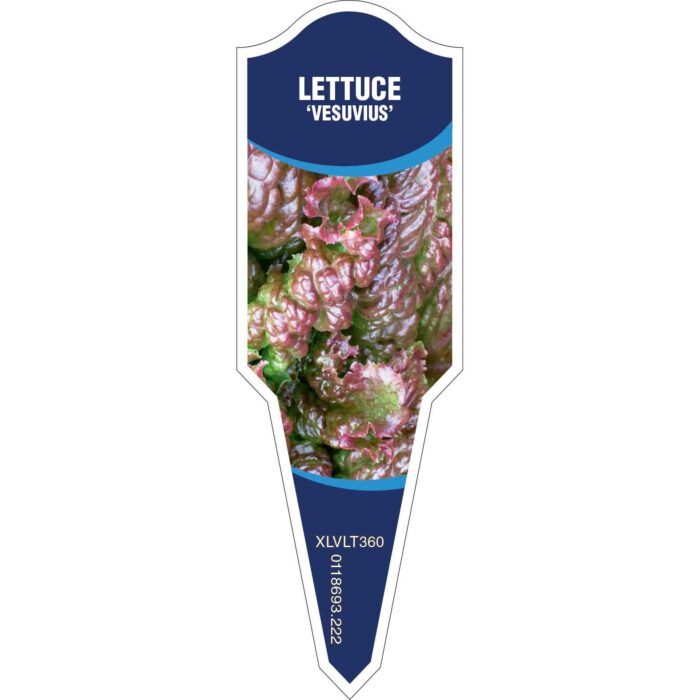 Label_XLVLT360.Jpg