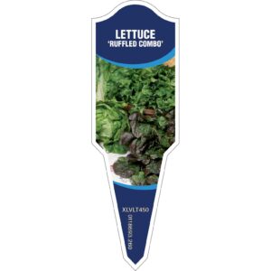 LETTUCE Ruffled Combo