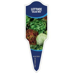 LETTUCE Salad Mix