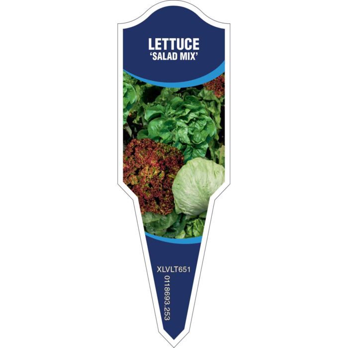Label_XLVLT651.Jpg