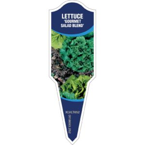 LETTUCE Gourmet Salad Blend