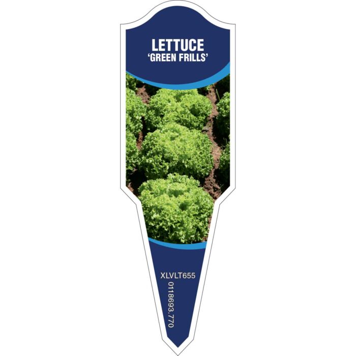 Label_XLVLT655.Jpg