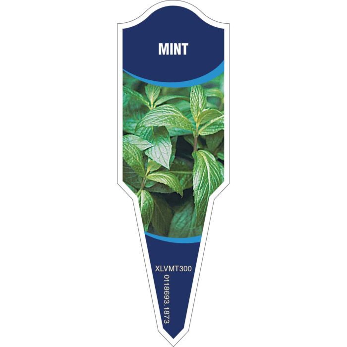 Label_XLVMT300.Jpg