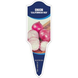 ONION Californian Red