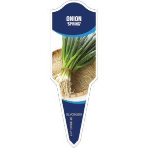 ONION Spring