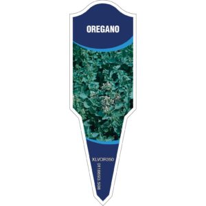 OREGANO
