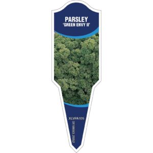 PARSLEY Green Envy II