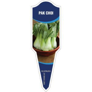 PAK CHOI