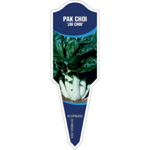 PAK CHOI Joi Choi