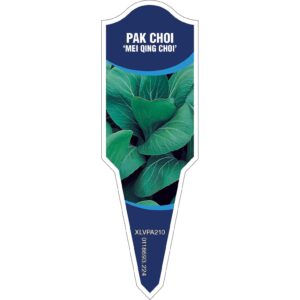 PAK CHOI Mei Qing Choi