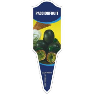PASSIONFRUIT