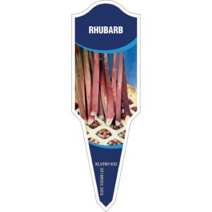 RHUBARB