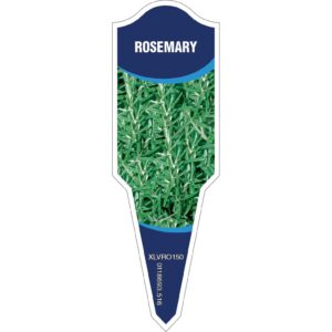 ROSEMARY