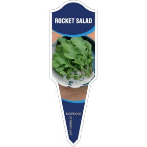 ROCKET SALAD