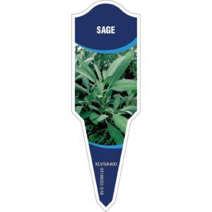 SAGE